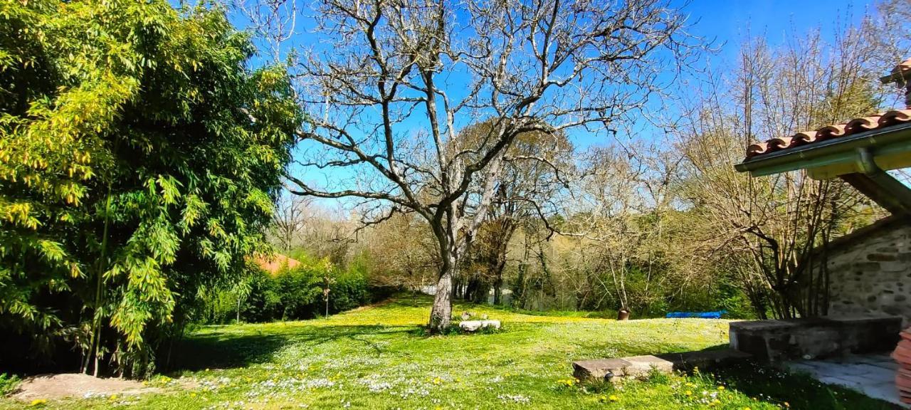 شقة Entre Galets Sauveterre-de-Bearn المظهر الخارجي الصورة